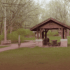 Picnic - Jerdon - 06122025 (1)